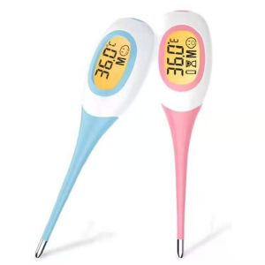 DT-13 digital thermometer